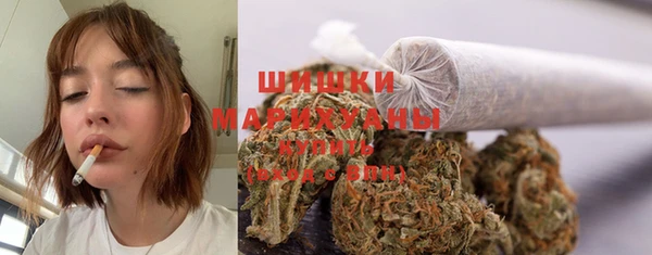 СК Ельня