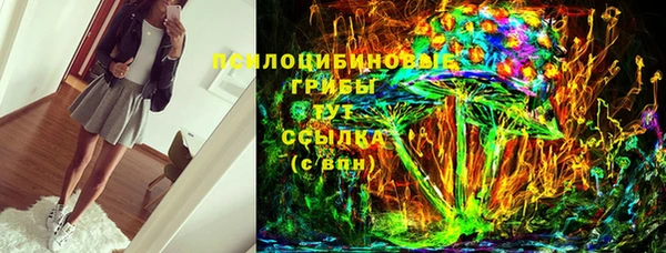 СК Ельня