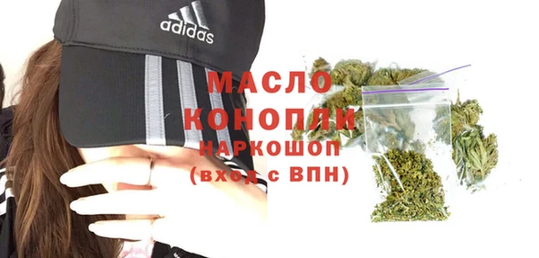 СК Ельня