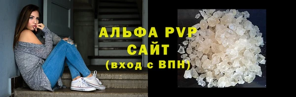СК Ельня