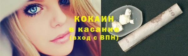 СК Ельня