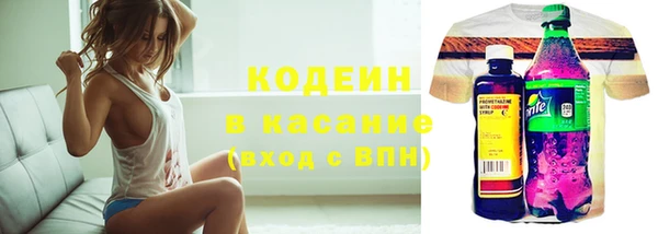 дмт Елизово
