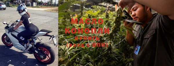 СК Ельня