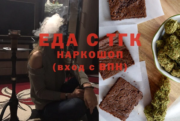 СК Ельня