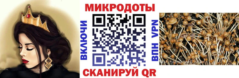 Купить закладки  Изобильный  Галлюциногенные грибы Magic Shrooms 